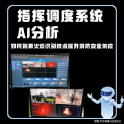 为后续的阐发和总结供给数据