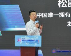 再通过电氧化物互连层将二者无机连系